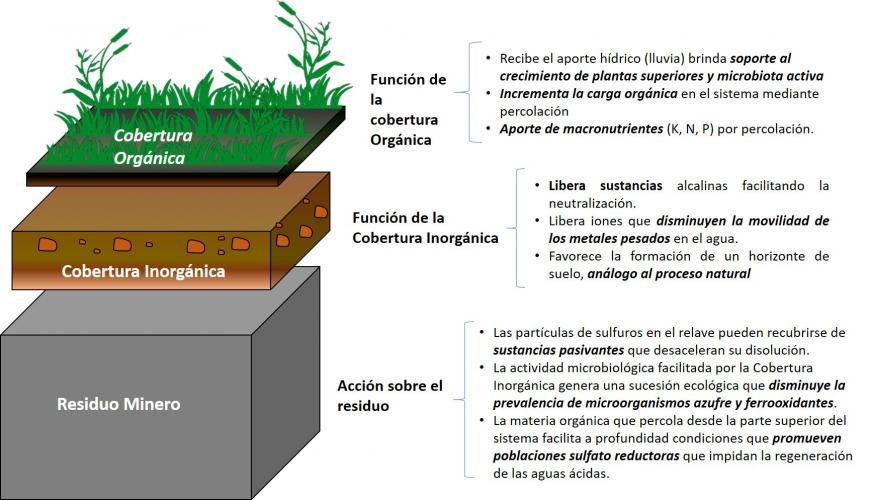 Estratos y Biomódulos